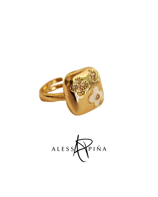 Anillo Chapa